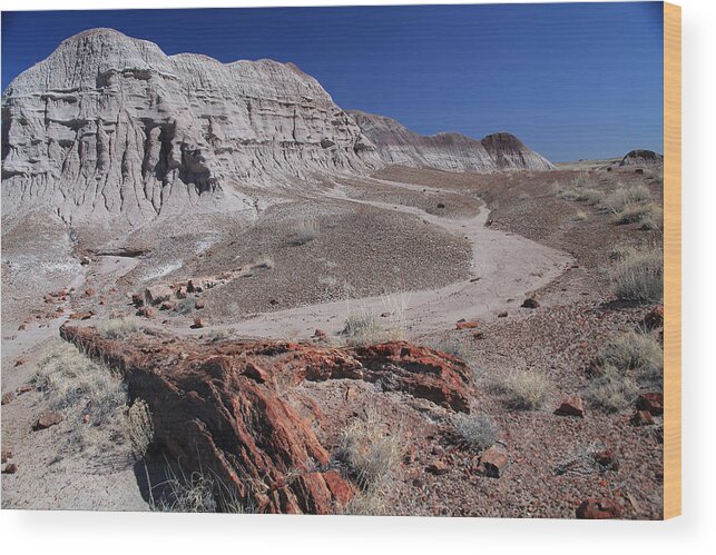 Landscape Wood Print featuring the photograph Runoff Obstacle by Gary Kaylor