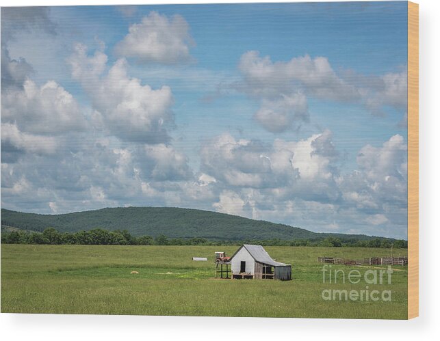 Farm Wood Print featuring the photograph Rural Midwest by Andrea Silies