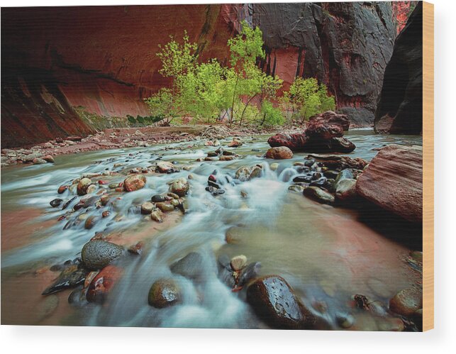 Amazing Wood Print featuring the photograph Rush At Narrows by Edgars Erglis