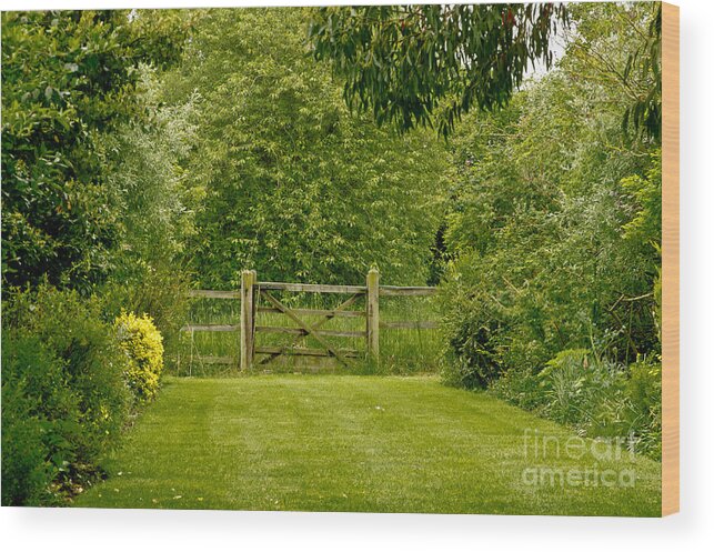 Rustic Gates Wood Print featuring the photograph Rustic Gates by Elena Perelman