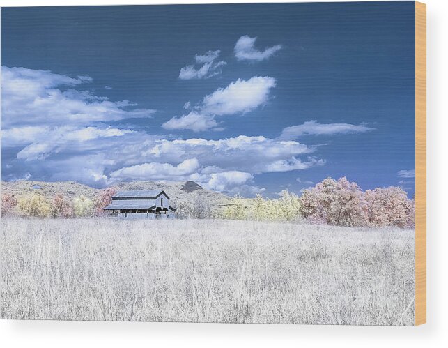 642nm Wood Print featuring the photograph S C Upstate Barn Faux Color by Charles Hite