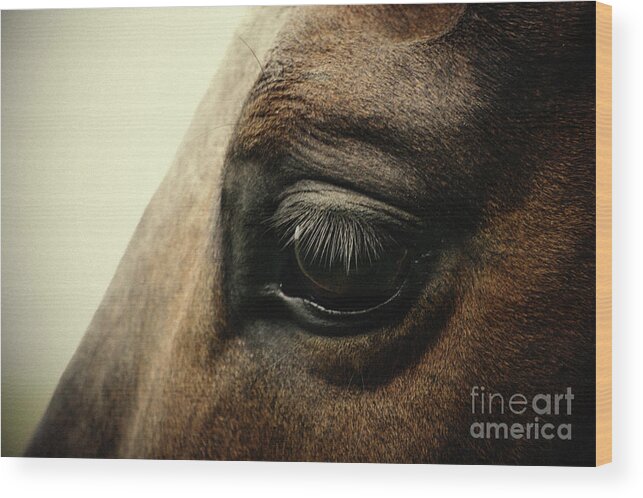Horse Wood Print featuring the photograph Sadness horse eye by Dimitar Hristov