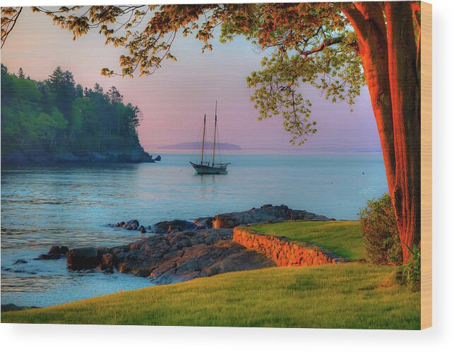 Sailboat Wood Print featuring the photograph Safe Mooring by Jeff Cooper