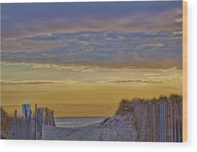 Beach Wood Print featuring the photograph Sagg Main Beach In Winter by Cathy Kovarik