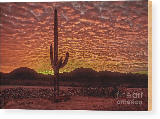 Cactus Wood Print featuring the photograph Saguaro Cactus Sunrise by Robert Bales