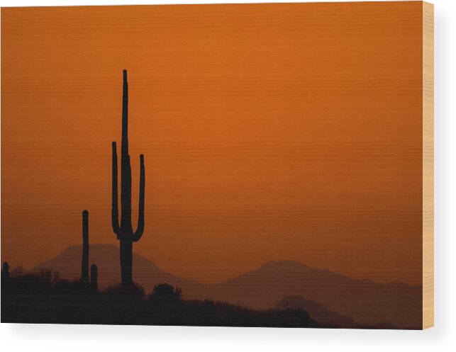 Nature Wood Print featuring the photograph Saguaro Sunset by Jeff Phillippi
