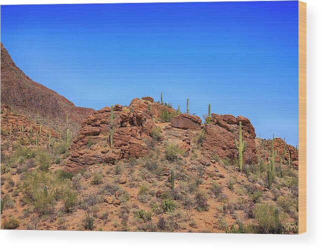 Saguaro Wood Print featuring the photograph Saguaro Tucson Mountains by Chris Smith