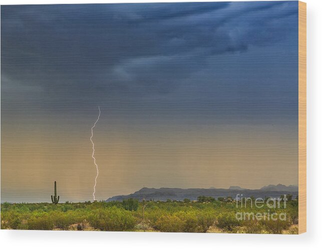 Arizonia Wood Print featuring the photograph Saguaro with Lightning by Patti Schulze