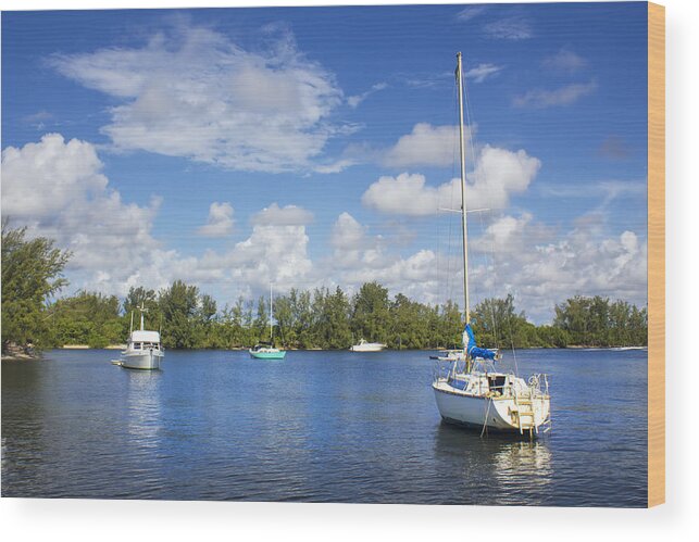 Sailboat Artwork Wood Print featuring the photograph Sailboat Artwork 27 by Carlos Diaz