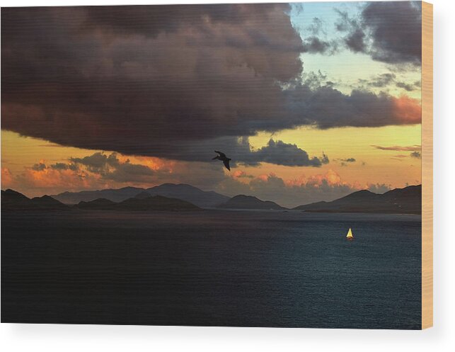 Sunset Wood Print featuring the photograph Sailboat Sunset by Harry Spitz