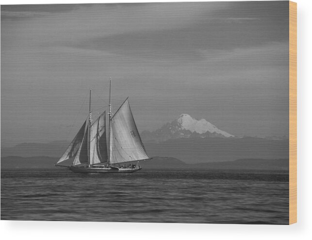 Sailing Wood Print featuring the photograph Sailing in Pacific Northwest by David Shuler