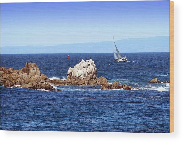 Monterey Wood Print featuring the photograph Sailing Monterey Bay by Joyce Dickens