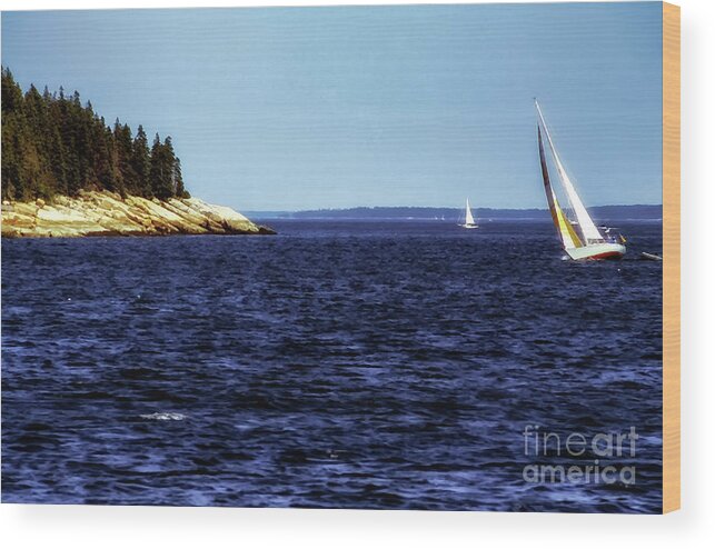 Usa Wood Print featuring the photograph Sailing Penobscoy Bay by Thomas R Fletcher