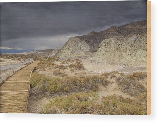 Death Valley National Park Wood Print featuring the photograph Salt creek trail by Kunal Mehra
