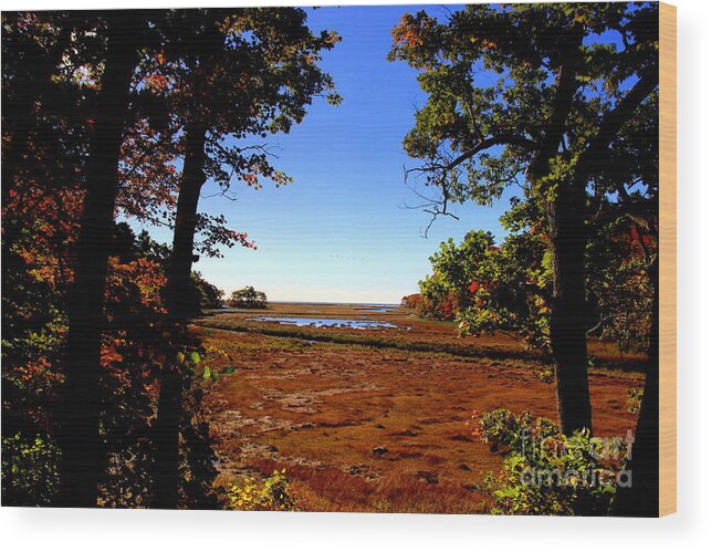 Fall Wood Print featuring the photograph Salt Marsh to the sea by Lennie Malvone