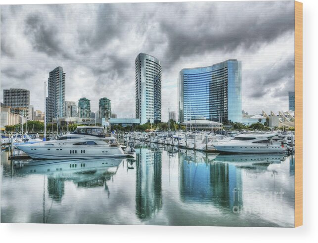 San Diego Wood Print featuring the photograph San Diego Dreams by Mel Steinhauer