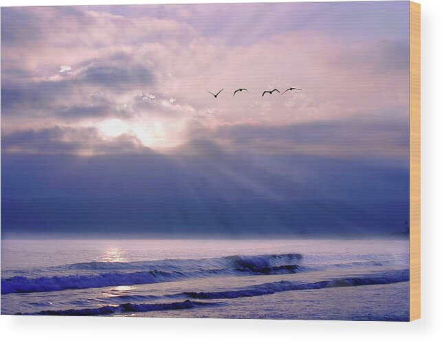 Beach Wood Print featuring the photograph San Diego Sunset 2 by Alan Hausenflock