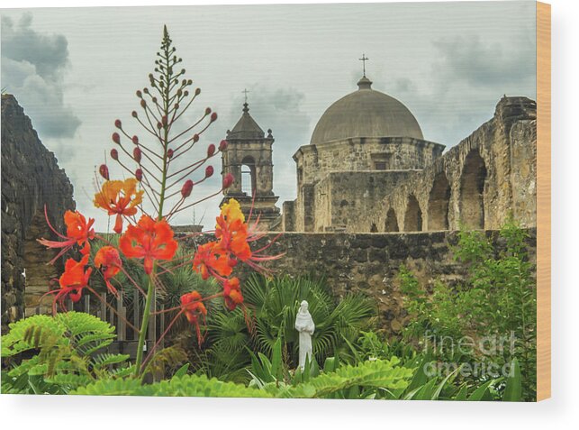 San Antonio Wood Print featuring the photograph Mission San Jose with Pride of Barbados by Michael Tidwell