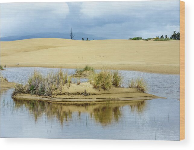 Ponds Wood Print featuring the photograph Sand Dunes and Water by Jerry Cahill