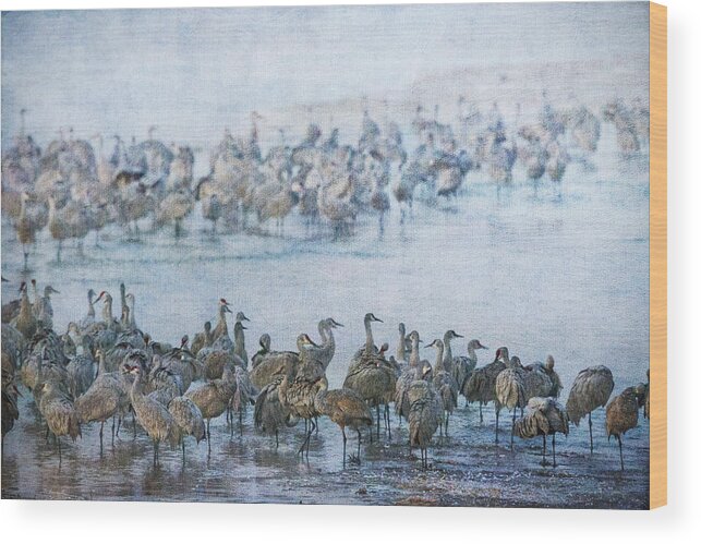 Sandhill Crane Wood Print featuring the photograph Sandhill Cranes Texture by Kathy Adams Clark