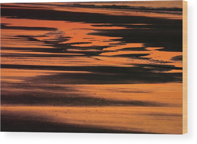 Landscape Wood Print featuring the photograph Sandy Reflection by Joe Shrader