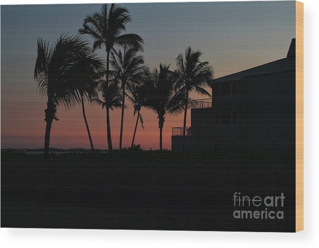 Sunset Wood Print featuring the photograph Sanibel Evening by Deborah Benoit