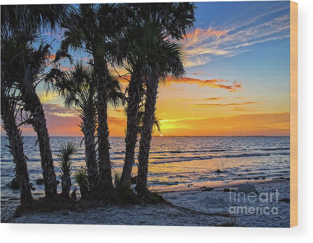 Florida Wood Print featuring the photograph Sanibel Sunset by Edward Fielding