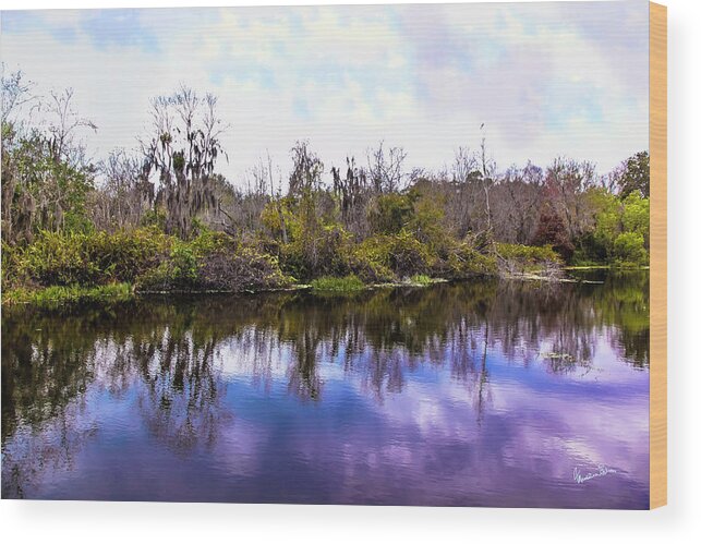 Land Wood Print featuring the photograph Sarasota Symphony by Madeline Ellis