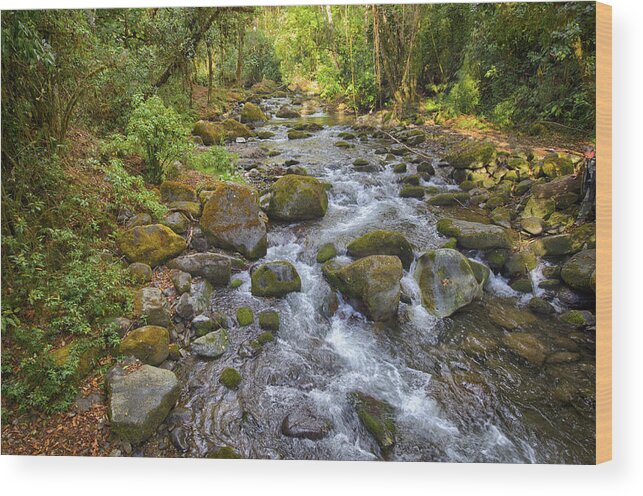 Savegre River Wood Print featuring the photograph Savegre River - Costa Rica 3 by Kathy Adams Clark