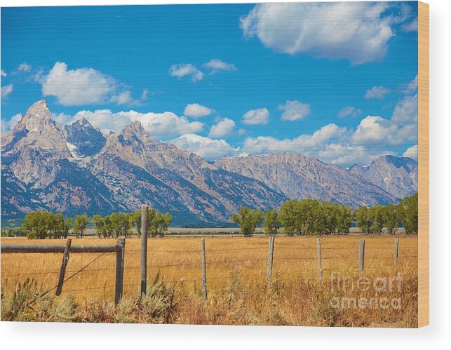 Tetons Wood Print featuring the photograph Saw tooth Mountains by Robert Pearson