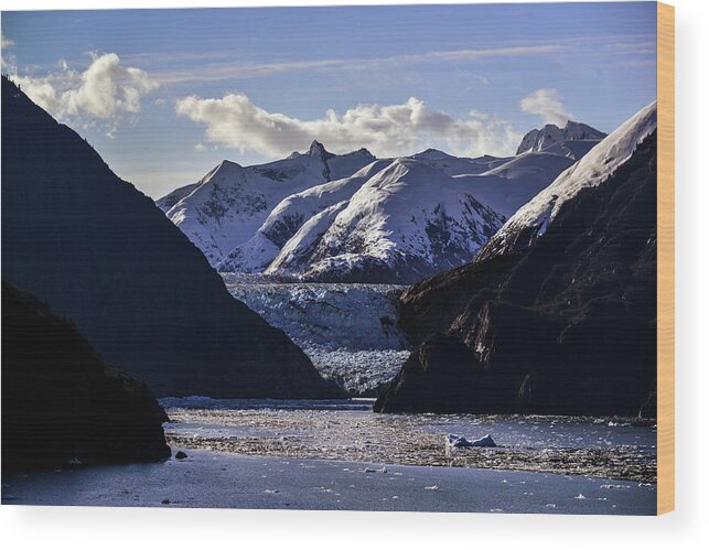 Landscape Wood Print featuring the photograph Sawyer Glacier in Tracy Arm Fjord by Matt Swinden