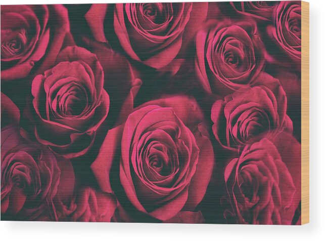 Roses Wood Print featuring the photograph Scarlet Roses by Jessica Jenney