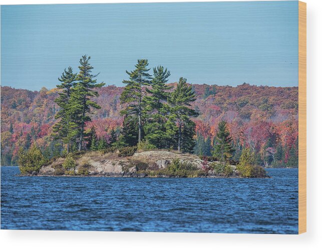 Fall Wood Print featuring the photograph Scenic Fall View by Paul Freidlund