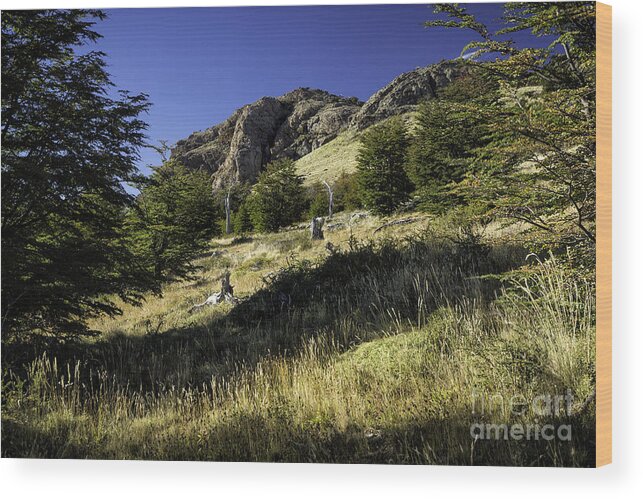 Patagonia Wood Print featuring the photograph Scenic Overlook Patagonia 3 by Timothy Hacker