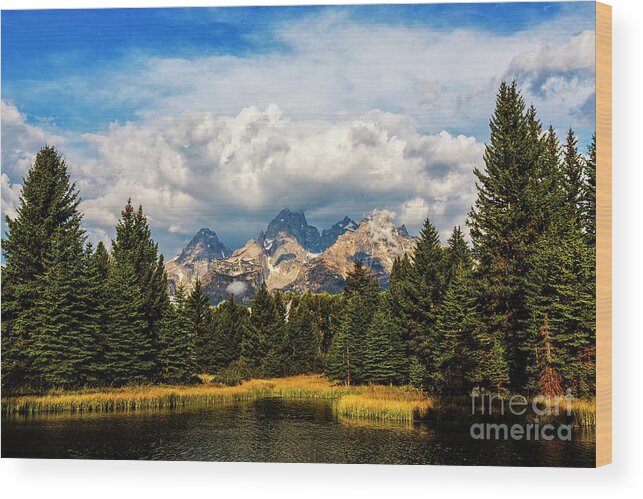 Schwabacher Wood Print featuring the photograph Schwabacher Landing by Rodney Cammauf