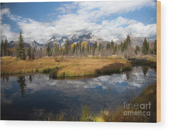 Schwabachers Landing Wood Print featuring the photograph Schwabachers Landing, Grand Teton National Park Wyoming by Greg Kopriva