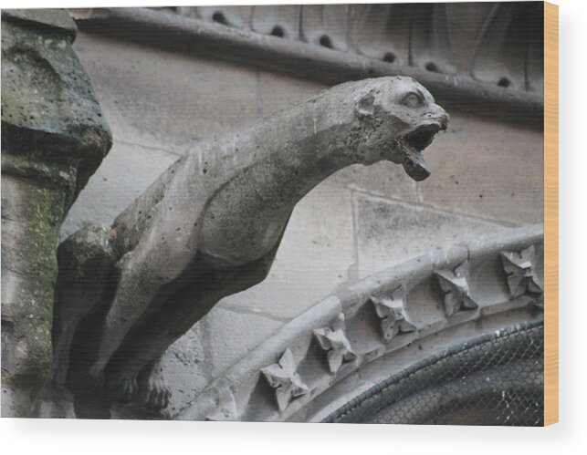Grotesques Wood Print featuring the photograph Screaming Griffon Notre Dame Paris by Christopher J Kirby