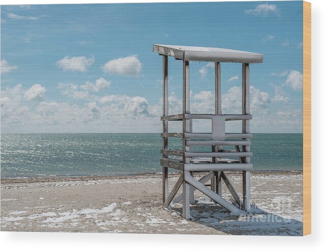 Ocean Wood Print featuring the photograph Sea Gull Beach #2 by Michael James