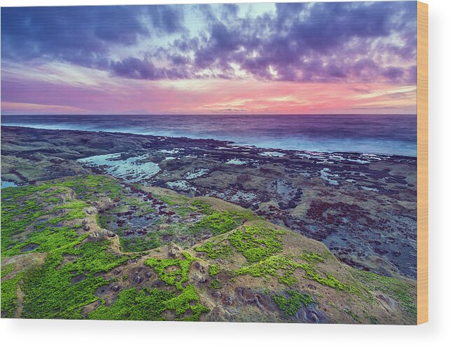 Seascape Wood Print featuring the photograph Sea Moss Sunset by Robert Bynum