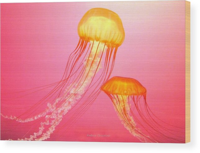 Photography Wood Print featuring the photograph Sea Nettles - 2 by Kathie Chicoine