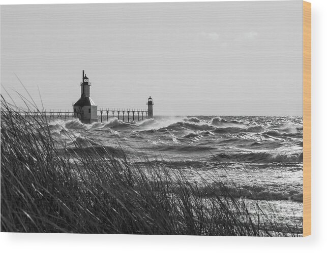 St Joseph Wood Print featuring the photograph Sea Oats And St Joseph Grayscale by Jennifer White