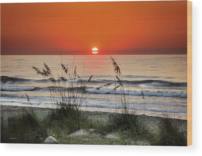  Wood Print featuring the photograph Sea Oats Sunrise by Phil Mancuso