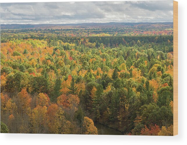 High Bank Rollaways Wood Print featuring the photograph Sea of Color by Steve L'Italien