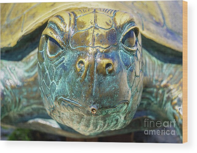 Al Wood Print featuring the photograph Sea Turtle Statue Gulf Shores AL 1590a by Ricardos Creations