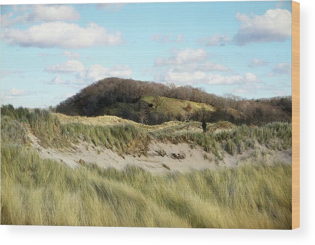 Talmadge Woods Wood Print featuring the photograph Seabreeze by Kathi Mirto