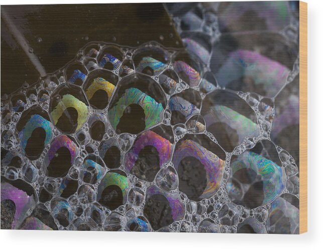 Bubbles Wood Print featuring the photograph Seafoam on Kelp Frond by Robert Potts