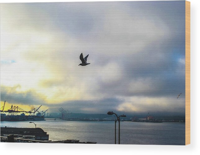 Seattle Wood Print featuring the photograph Seahawkin by D Justin Johns