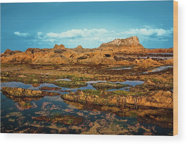 Seal Rock Wood Print featuring the photograph Seal Rock Beach Oregon by Kami McKeon