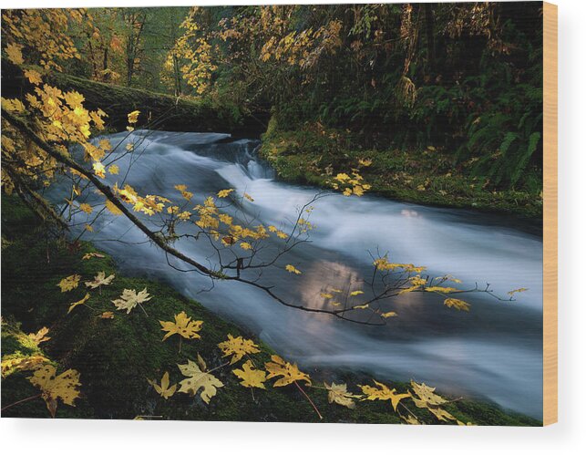 Autumn Wood Print featuring the photograph Seasonal Tranquility by Andrew Kumler