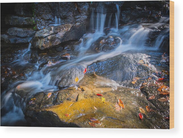 Water Wood Print featuring the photograph Seasons Collide by Parker Cunningham